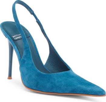 You Wish Slingback Pointed Toe Pump