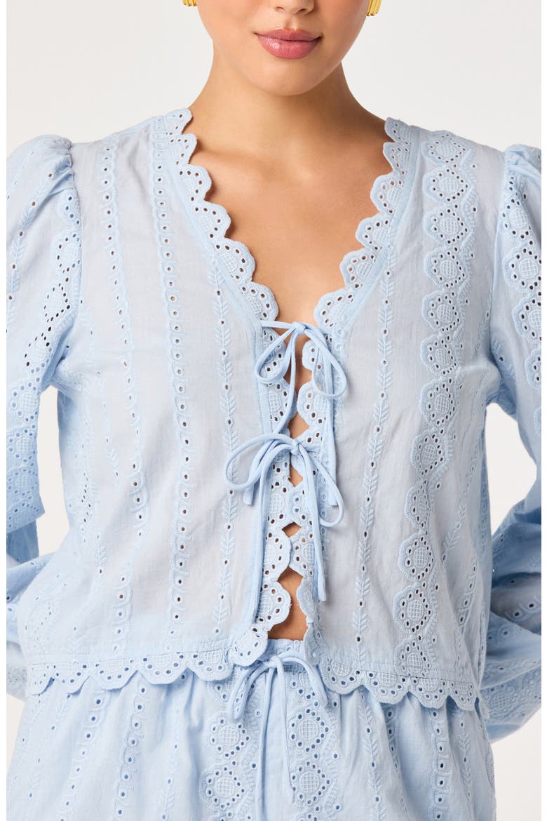 Leah Tie Front Eyelet Top, Alternate, color, LIGHT BLUE
