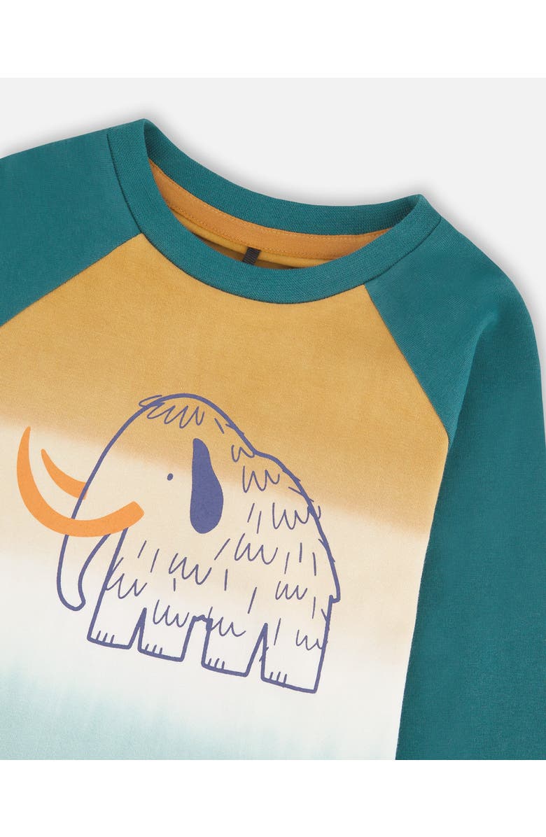 Deux par Deux Organic Cotton Jersey Raglan Sleeve T-Shirt, Alternate, color, Forest Green