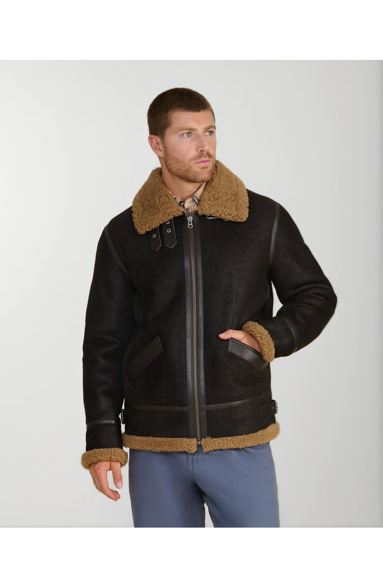 Furniq UK Frederick Shearling Aviator Jacket, Alternate, color, Brown
