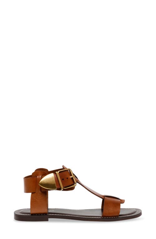 Steve Madden Brazinn Gladiator Sandal In Brown
