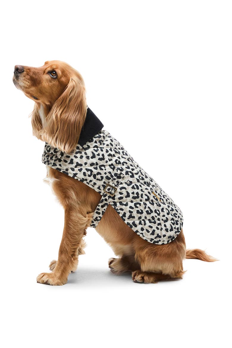 Harley Quilted Leopard Dog Coat, Alternate, color, JASMINE LEOPARD