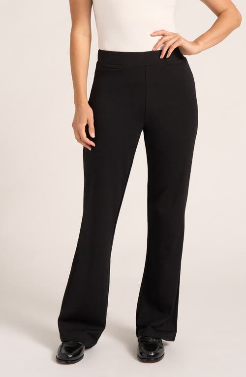 Matty M . Wide Leg Ponte Pants In Black