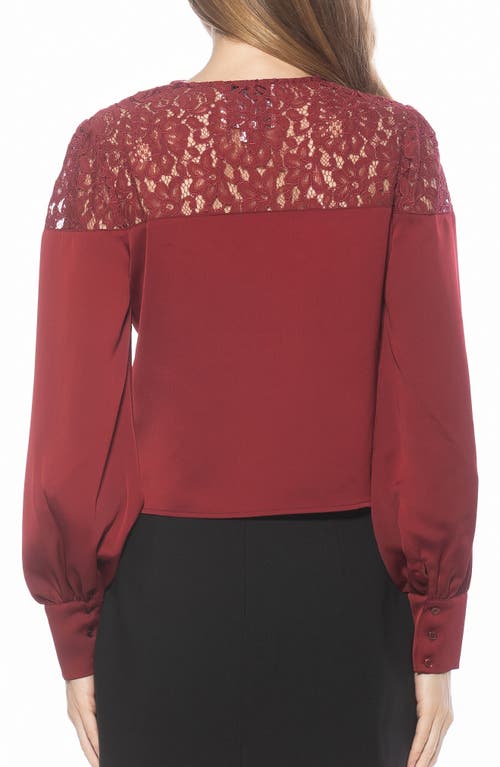 Alexia Admor Bryne Lace Trim Top In Brown