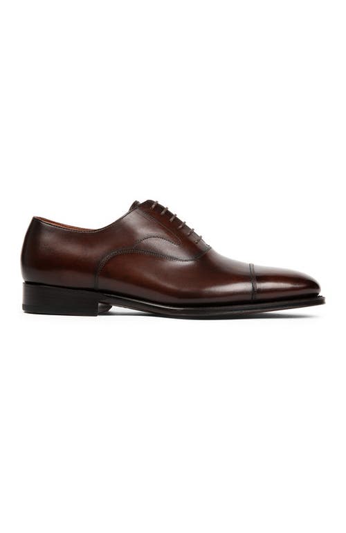 Anthony Veer Regent Cap-toe Oxford In Vintage Amber Tan