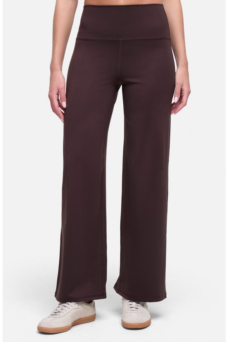 Lizzie Wide Leg Pants, Main, color, MOLE