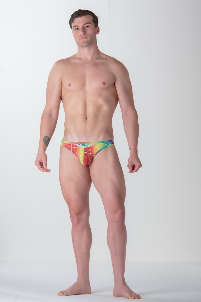 WOH Sexy Fun Micro Briefs, Alternate, color, Multico Print