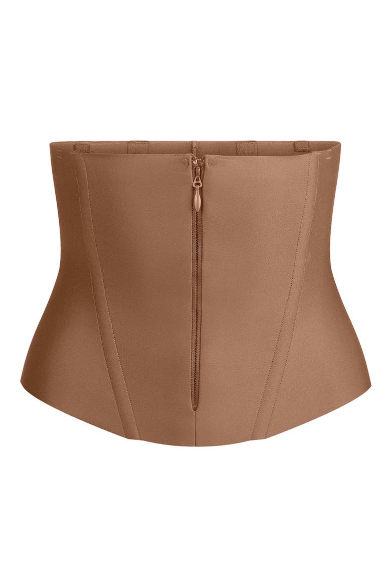 Body Core Sculpt Waist Cincher, Alternate, color, SIENNA