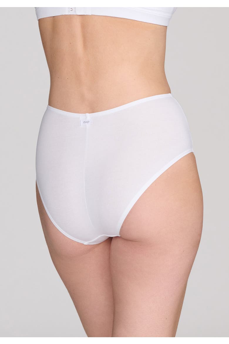 The Highwaist, Alternate, color, SALT