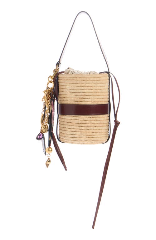 Chloé Kerala 25 Embellished Leather-trimmed Faux Raffia Tote In Dark Ebony