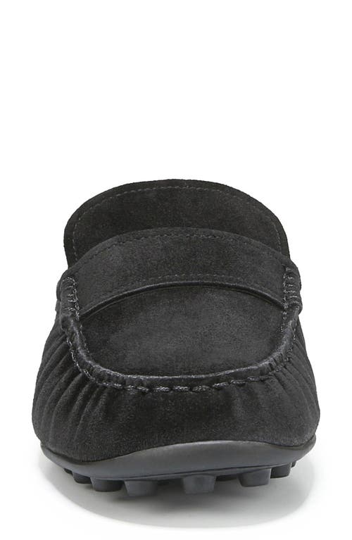 Vince Berkley Driving Mule In Black