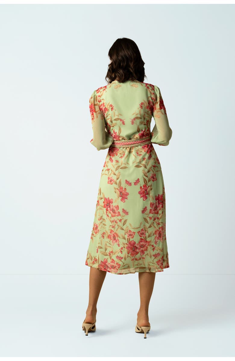 RAISHMA Naomi Green Dress, Alternate, color, Green