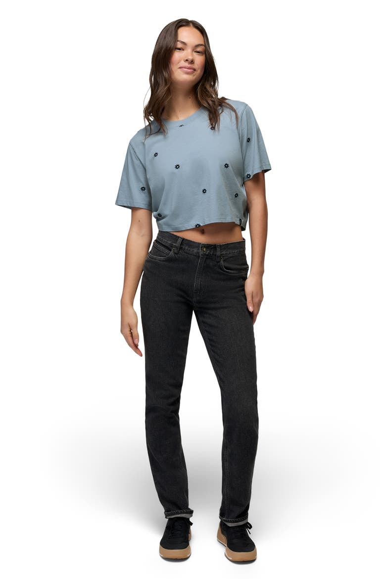 Daisy Embroidered Crop Top, Alternate, color, GLACIER SKIES