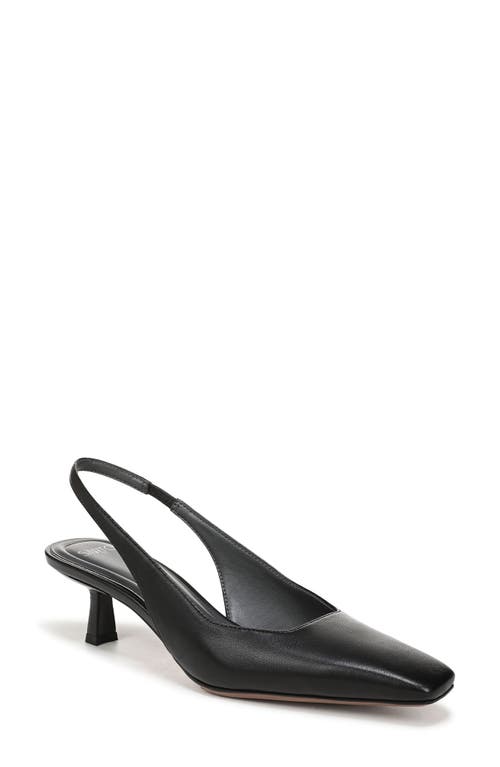 Sarto By Franco Sarto Raven Slingback Kitten Heel Pump