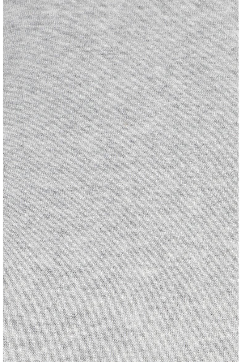 Fleece Hoodie, Alternate, color, LIGHT GREY MELANGE