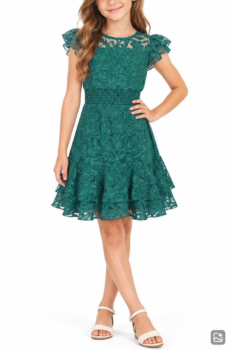 Kids' Burnout Lace Overlay Party Dress, Alternate, color, HUNTER