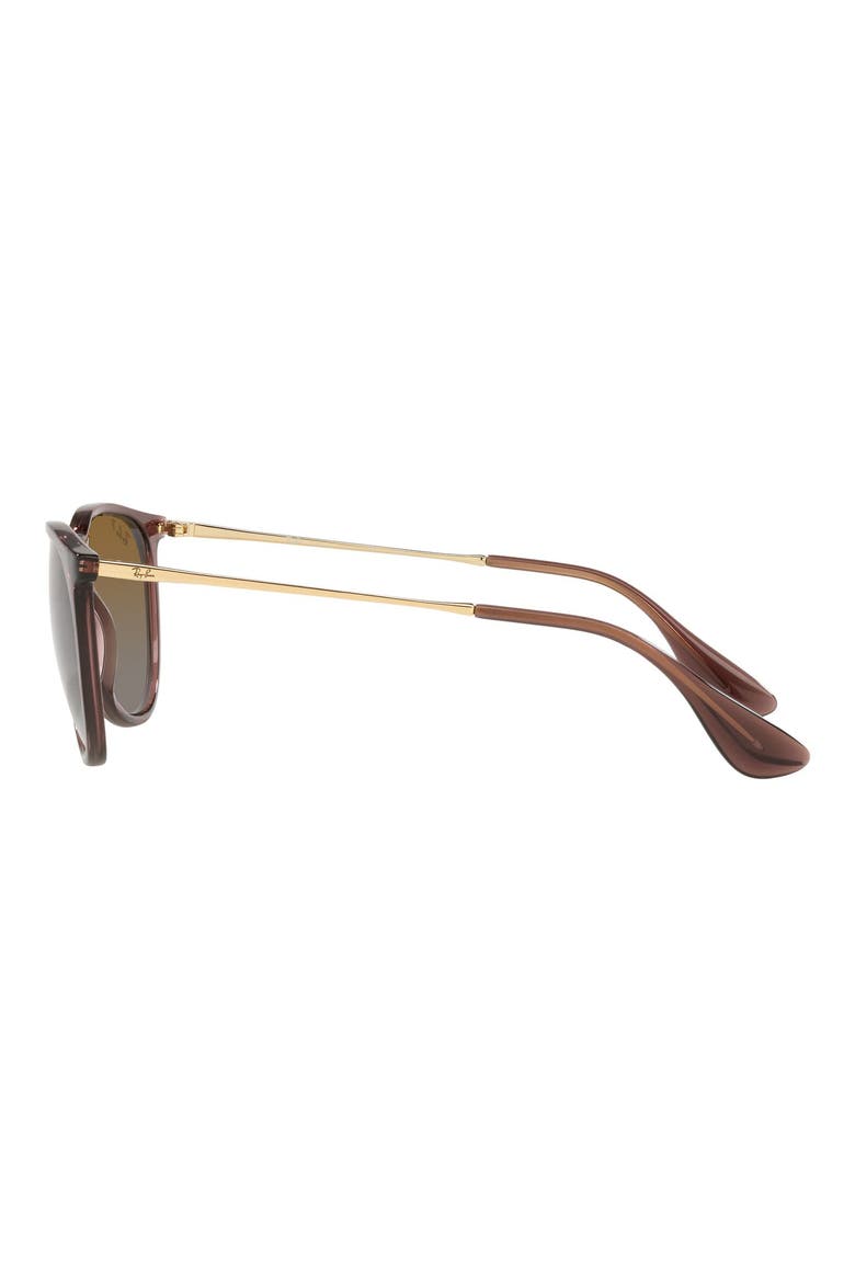 Erika Classic 54mm Sunglasses, Alternate, color, TRANSPARENT BROWN