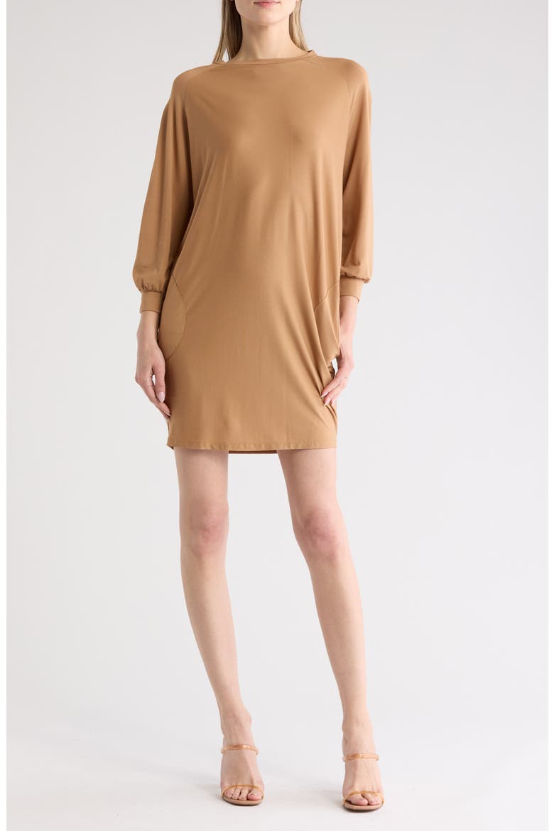 Relax With Me Long Sleeve Sweater Dress, Main, color, TOASTED ALMOND