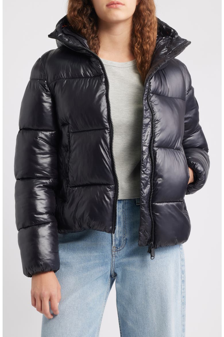Biddy Water Repellent Hooded Puffer Jacket, Alternate, color, BLACK