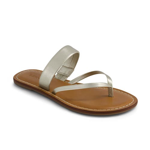 Bernardo Footwear Leia Thong Sandal In Champagne