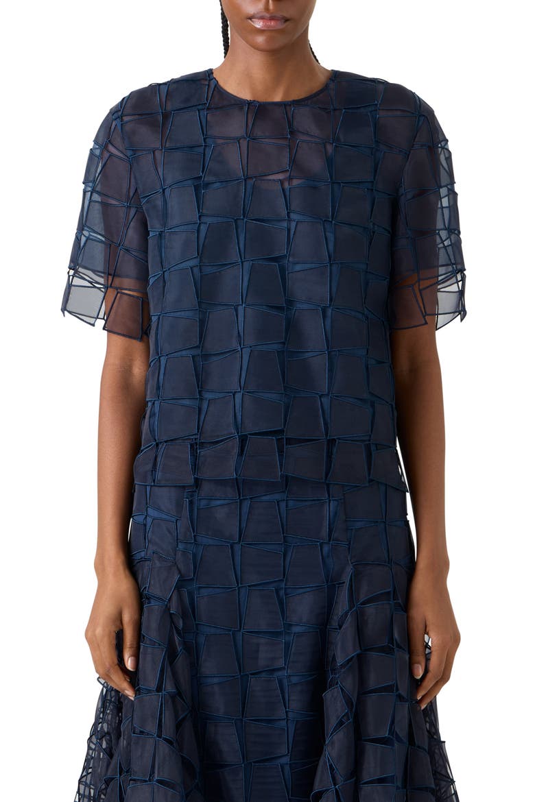 Embroidered Trapezoid Organza Top, Main, color, NAVY