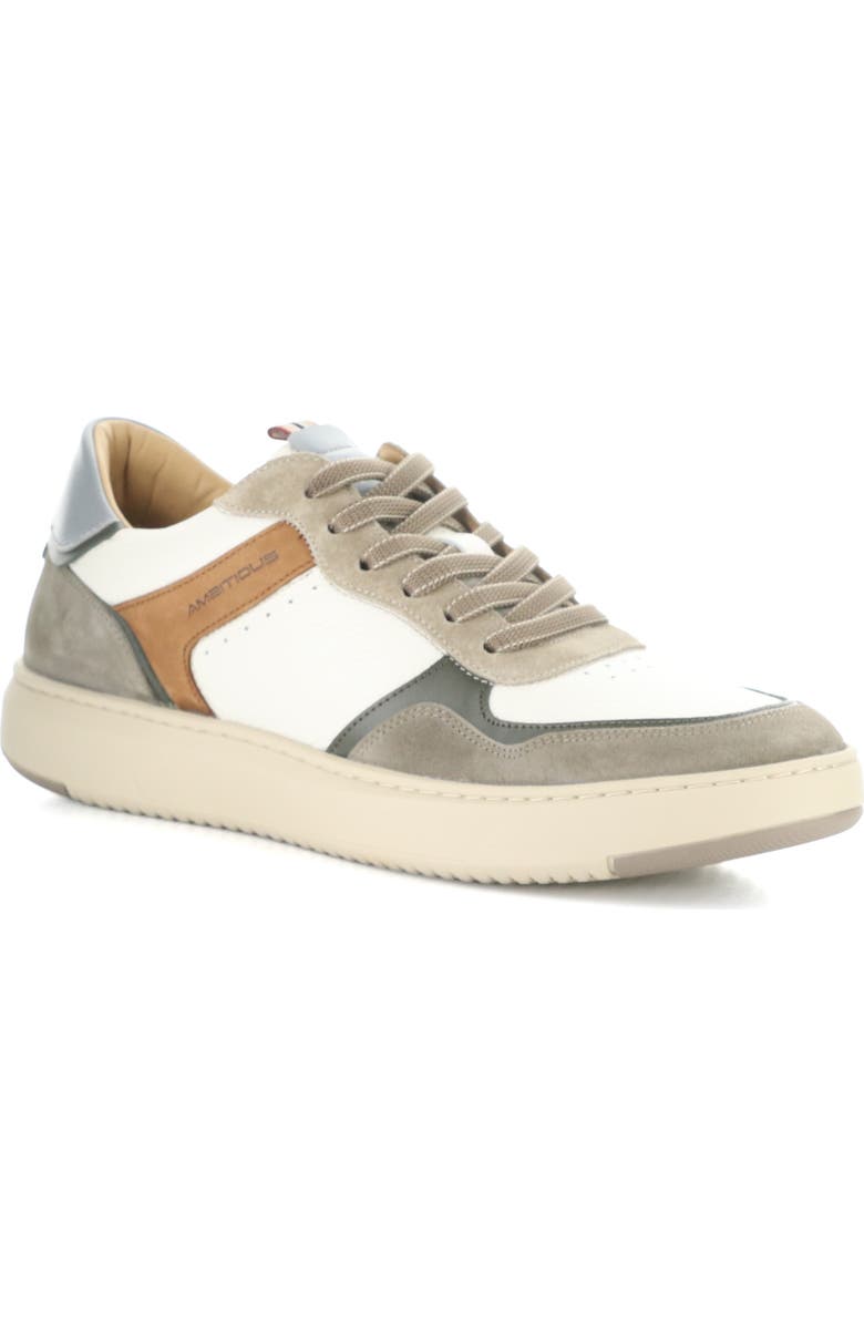 Ambitious Leather Low Top Sneaker, Main, color,
