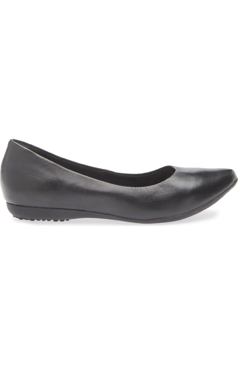 Bottero Botdogs Ballet Flat, Alternate, color, Preto