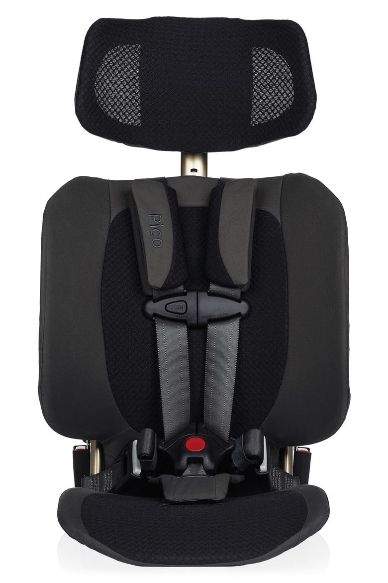Pico Forward Facing Car Seat, Main, color, EARTH