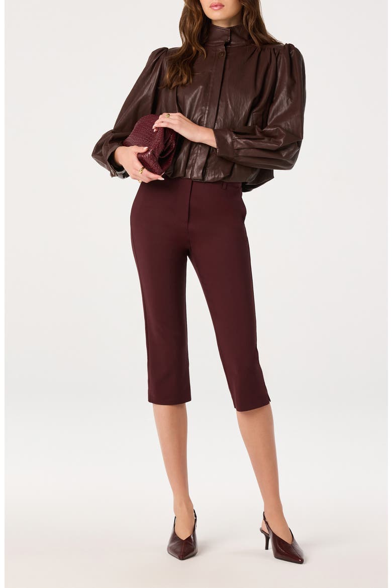 Cardin Capril Pants, Alternate, color, WINE