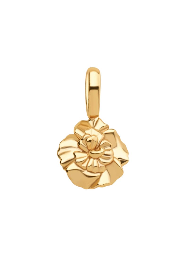Birth Flower Charm, Main, color, January - Gold Vermeil