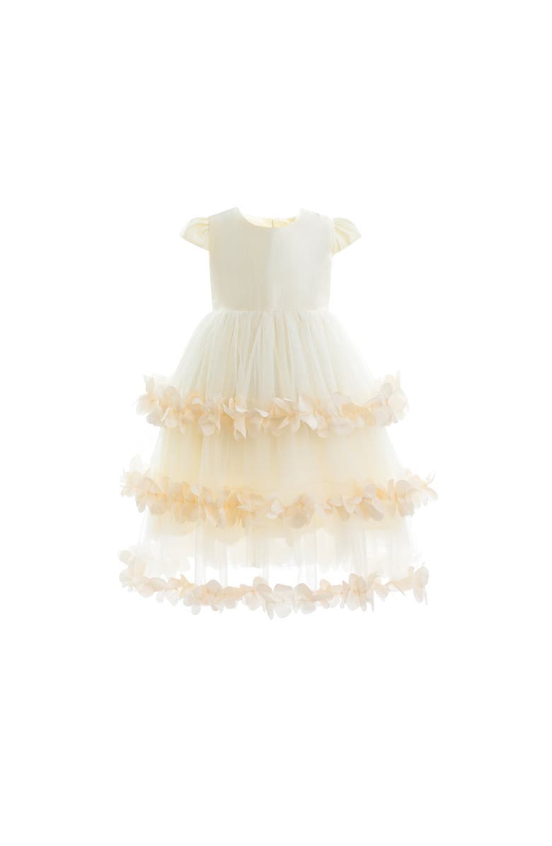 Tulleen Ferara Dress, Main, color, Cream