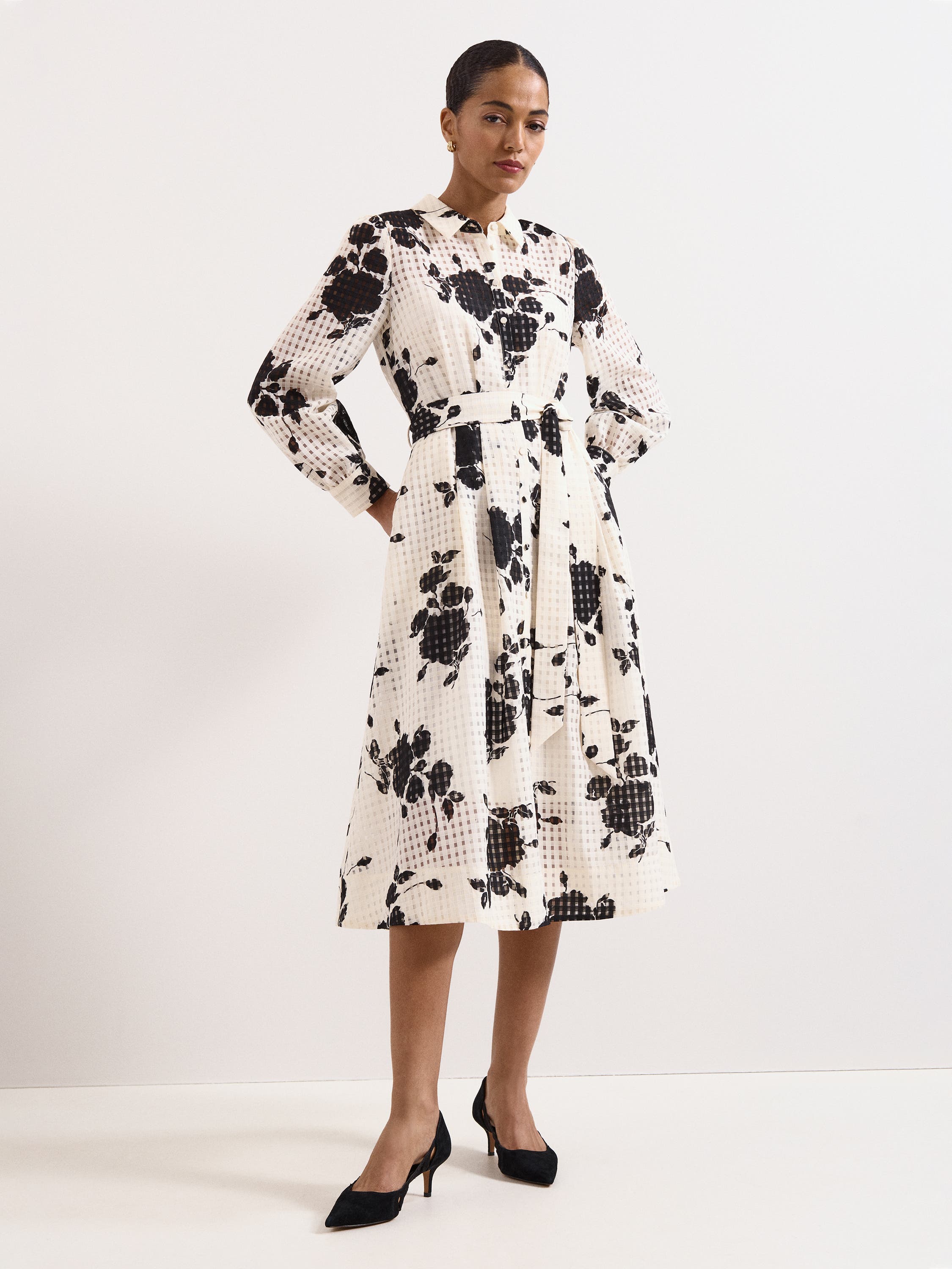 selected Ivory