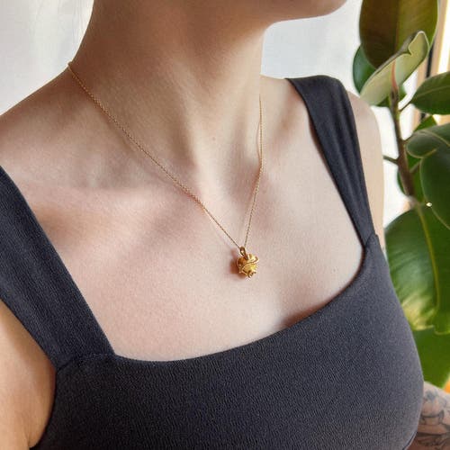 Astor & Orion Women's Wise Heart Gold Charm Necklace In Gold