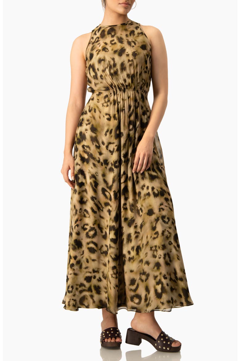 Abstract Animal Print Chiffon, Sleeveless Cinched-Waist A-Line Maxi Dress, Alternate, color, Olive Green
