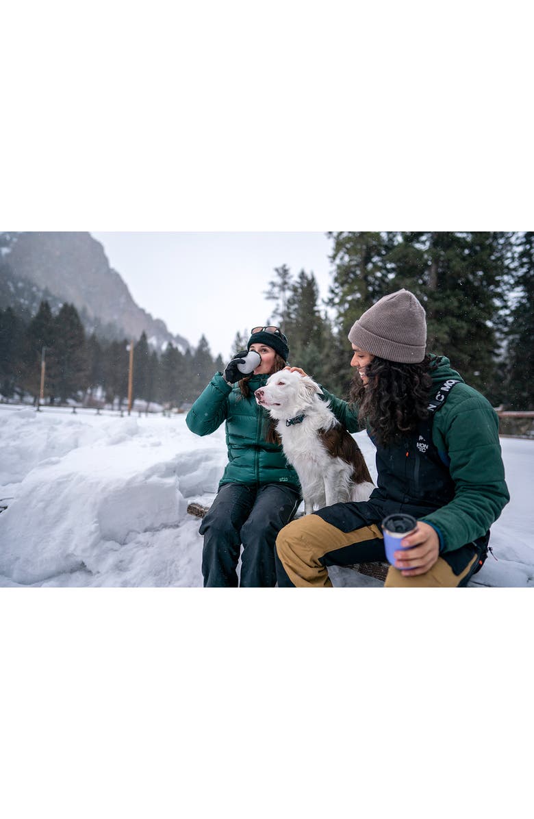 Hydro Flask 10-Ounce Ceramic Lined Wine Tumbler, Alternate, color, 