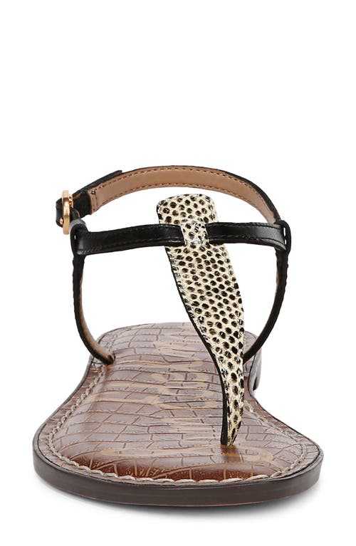 Sam Edelman Gigi Sandal In Wheat Multi