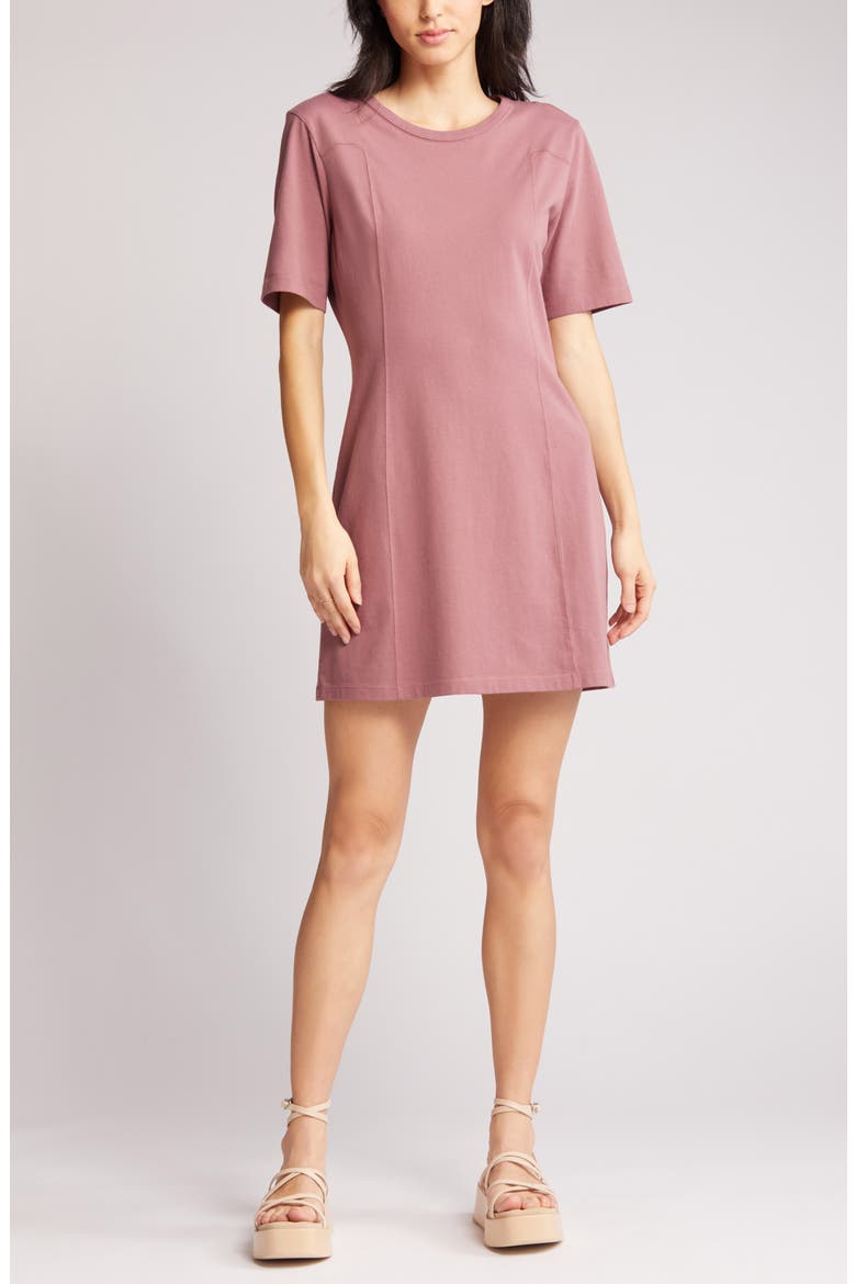 Seamed Organic Cotton T-Shirt Dress, Alternate, color, BROWN ROSE