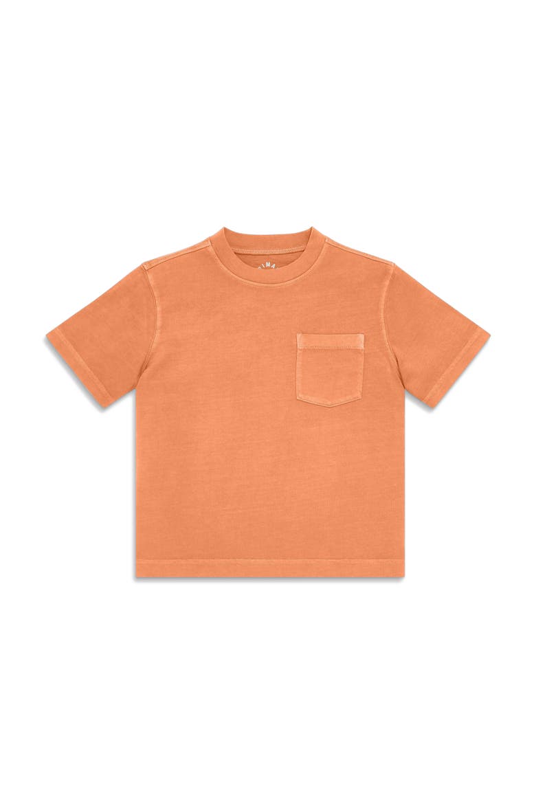 Kids Garment-Dyed Easy Pocket Tee, Main, color, Goldfish