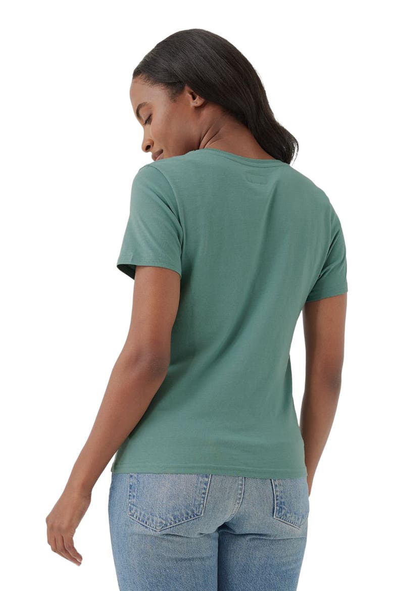Organic Cotton Softspun V-Neck Tee, Alternate, color, Brown Sugar