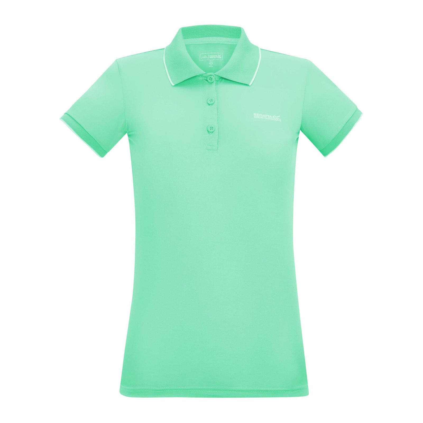 Ice Green Solid