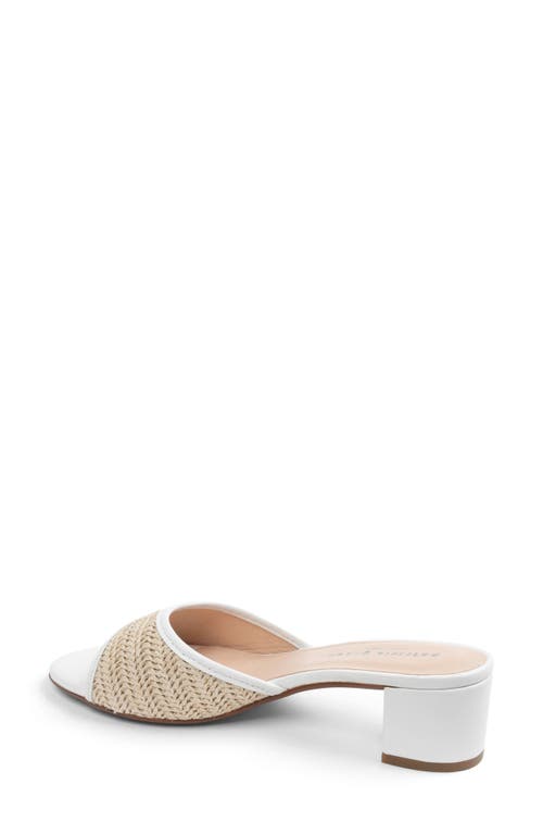 Shop Patricia Green Sienna Raffia Slide Sandal In White