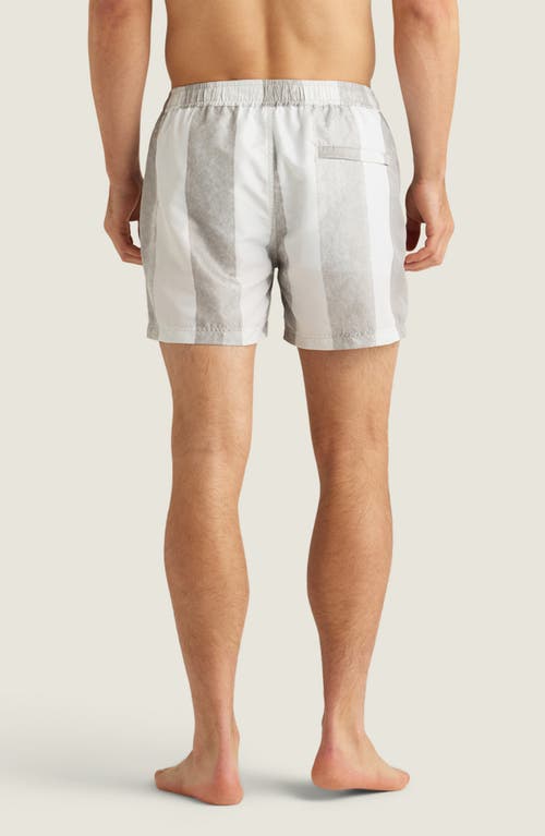 Auto-reply™ Sebastian Print 4-inch Nylon Swim Trunks In Fog/white Painted Stripe