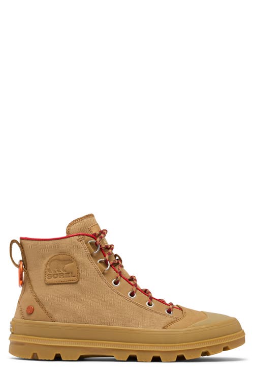 Sorel Scout N About Sneakers In Brown