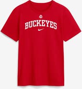 Nike Men's Nike Scarlet Ohio State Buckeyes Academic Arch T-Shirt