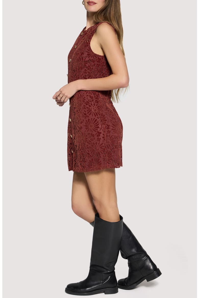 Merlot Whisper Floral Lace Minidress, Alternate, color, CHESTNUT