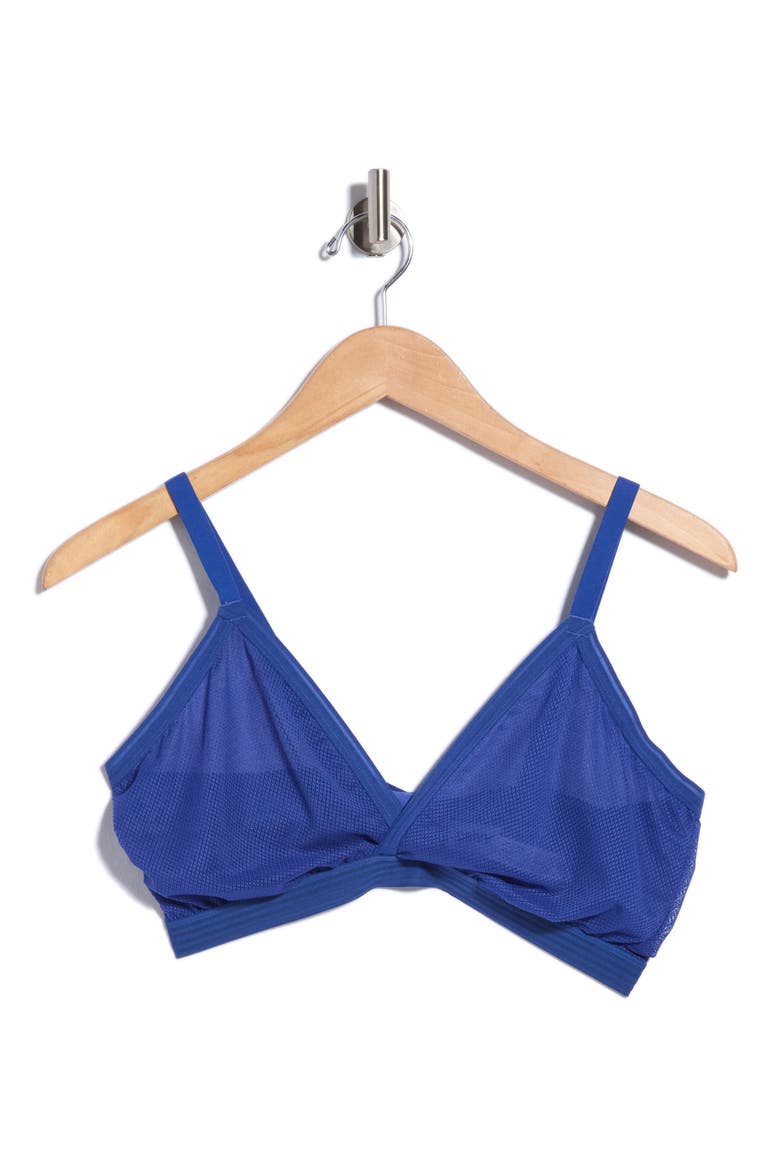 Sheer Stripe Triangle Bralette, Main, color, ATLANTIC BLUE