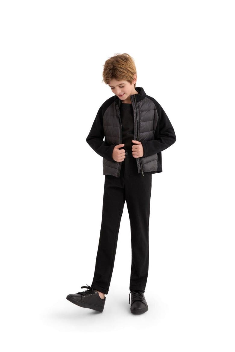 Quilted Zip Jacket, Alternate, color, Black