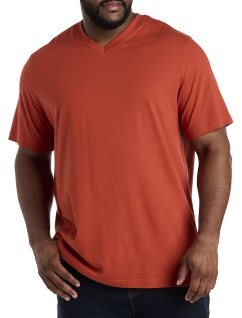 Big & Tall Moisture-Wicking Jersey V-Neck T-Shirt