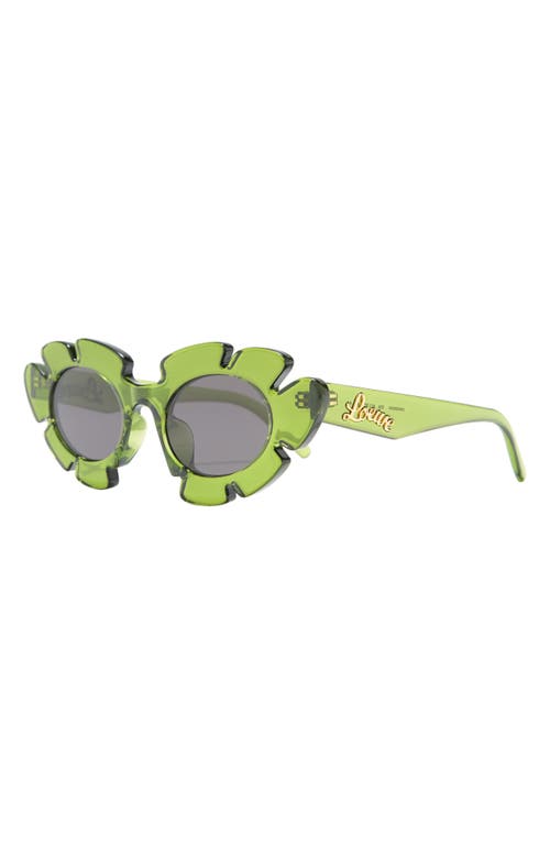 Loewe 47mm Tinted Oval Sunglasses In Green