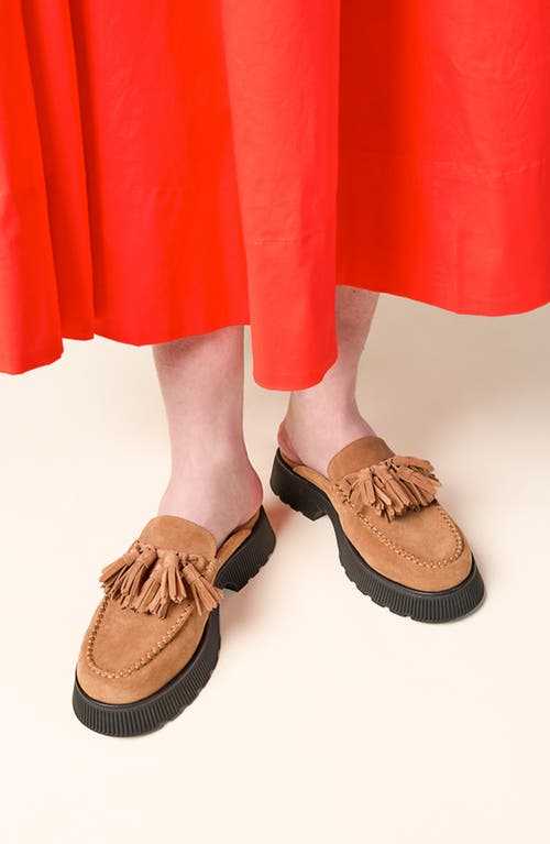 Charlotte Stone Herschel Tasseled Loafer Slide In Brown